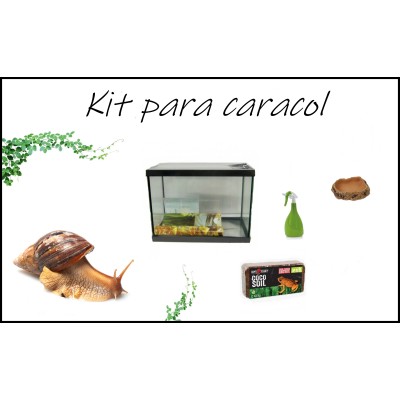 Kit  Caracoles gigantes